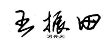 朱锡荣王振田草书个性签名怎么写