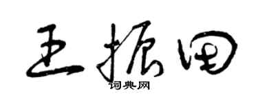 曾庆福王振田草书个性签名怎么写