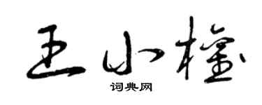 曾庆福王小权草书个性签名怎么写