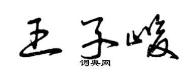 曾庆福王子峻草书个性签名怎么写