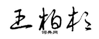 曾庆福王柏杉草书个性签名怎么写