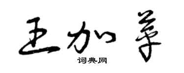 曾庆福王加苹草书个性签名怎么写