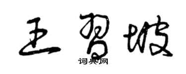 曾庆福王习坡草书个性签名怎么写