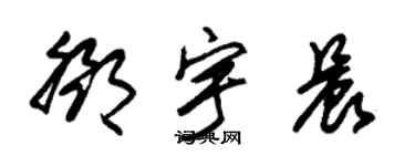 朱锡荣邓宇晨草书个性签名怎么写