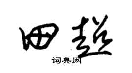 朱锡荣田超草书个性签名怎么写