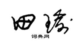 朱锡荣田瑜草书个性签名怎么写