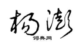 曾庆福杨澎草书个性签名怎么写