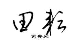 梁锦英田耘草书个性签名怎么写