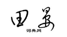 梁锦英田晏草书个性签名怎么写