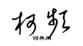 梁锦英柯频草书个性签名怎么写