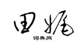 梁锦英田娓草书个性签名怎么写