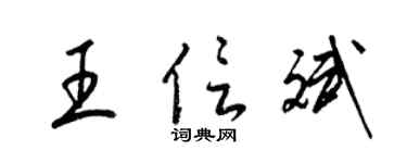 梁锦英王信斌草书个性签名怎么写