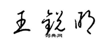 梁锦英王锐明草书个性签名怎么写