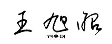 梁锦英王旭昭草书个性签名怎么写