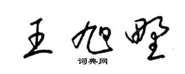 梁锦英王旭野草书个性签名怎么写