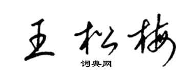 梁锦英王松梅草书个性签名怎么写