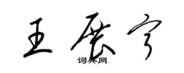 梁锦英王展宁草书个性签名怎么写