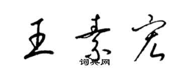 梁锦英王素宏草书个性签名怎么写