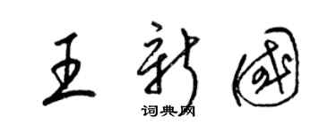 梁锦英王新国草书个性签名怎么写