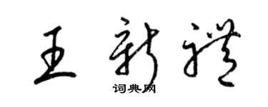 梁锦英王新礼草书个性签名怎么写