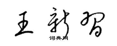 梁锦英王新习草书个性签名怎么写