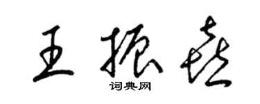 梁锦英王振喜草书个性签名怎么写