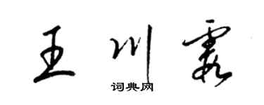 梁锦英王川霞草书个性签名怎么写