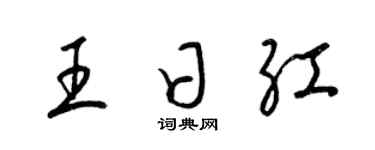 梁锦英王日红草书个性签名怎么写