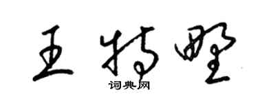 梁锦英王特野草书个性签名怎么写