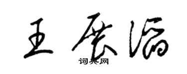 梁锦英王展滔草书个性签名怎么写