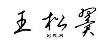 梁锦英王松翼草书个性签名怎么写