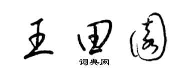 梁锦英王田园草书个性签名怎么写