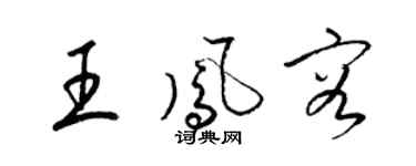 梁锦英王凤容草书个性签名怎么写