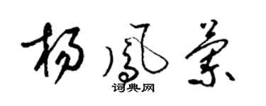 梁锦英杨凤兰草书个性签名怎么写