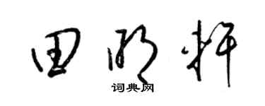 梁锦英田明轩草书个性签名怎么写