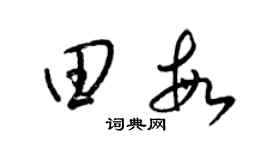 梁锦英田敏草书个性签名怎么写