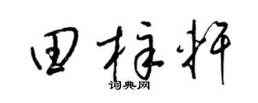 梁锦英田梓轩草书个性签名怎么写