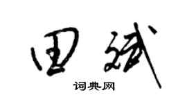 梁锦英田斌草书个性签名怎么写