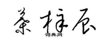 梁锦英叶梓辰草书个性签名怎么写