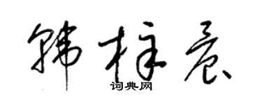 梁锦英韩梓晨草书个性签名怎么写