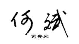 梁锦英何斌草书个性签名怎么写