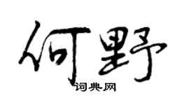 曾庆福何野行书个性签名怎么写