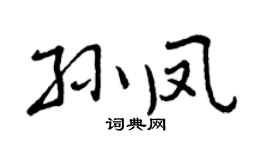 曾庆福孙凤行书个性签名怎么写