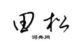 梁锦英田松草书个性签名怎么写