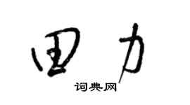 梁锦英田力草书个性签名怎么写