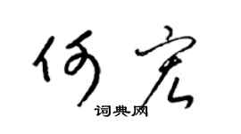 梁锦英何宏草书个性签名怎么写