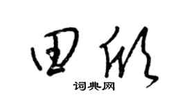 梁锦英田欣草书个性签名怎么写