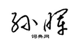 梁锦英孙晖草书个性签名怎么写