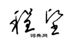 梁锦英程坚草书个性签名怎么写