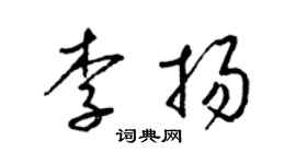 梁锦英李扬草书个性签名怎么写